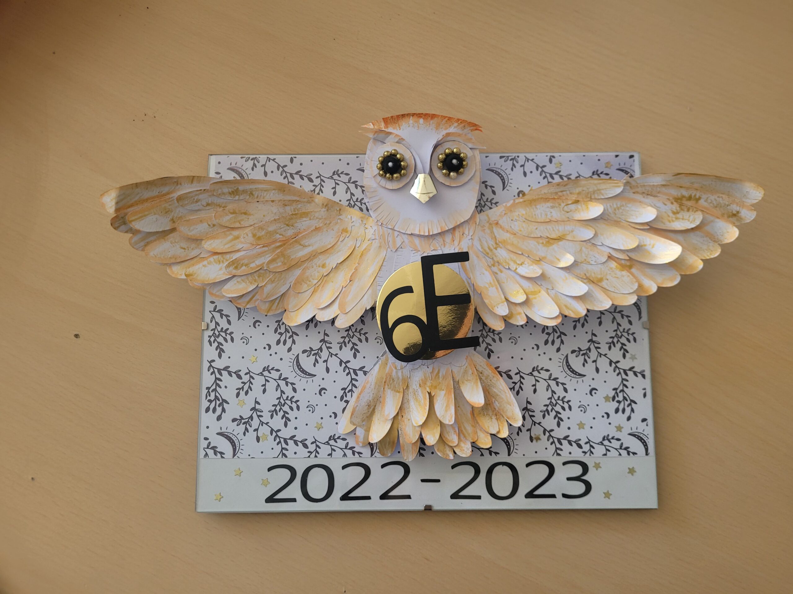 Carte De Vecteur Avec Drôle Chouette Personnage De Dessin Animé Mignon, image size:2560x1920